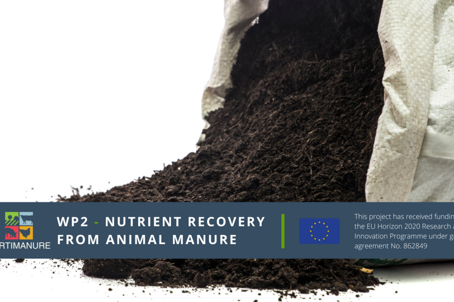 REPORTS on WP2 : Nutrient Recovery from Animal Manure